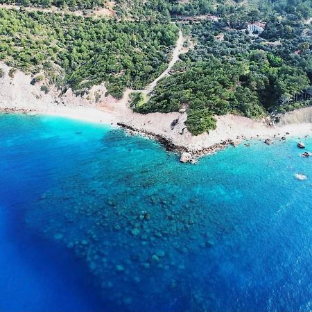 Likya Inn Karadere  Dış mekan fotoğraf