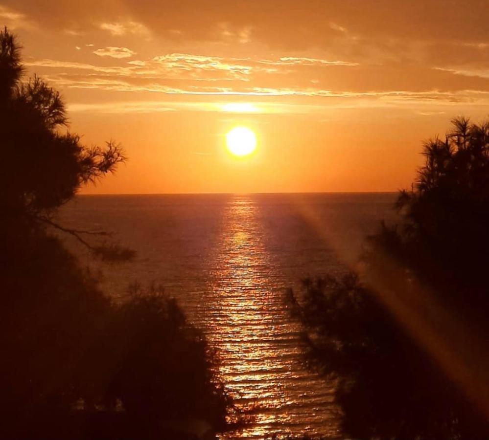 Likya Inn Karadere  Dış mekan fotoğraf